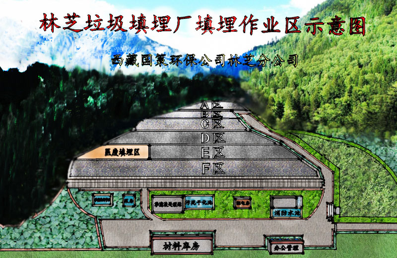 新奥2025最新饮料大全