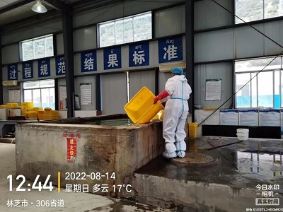 新奥2025最新饮料大全